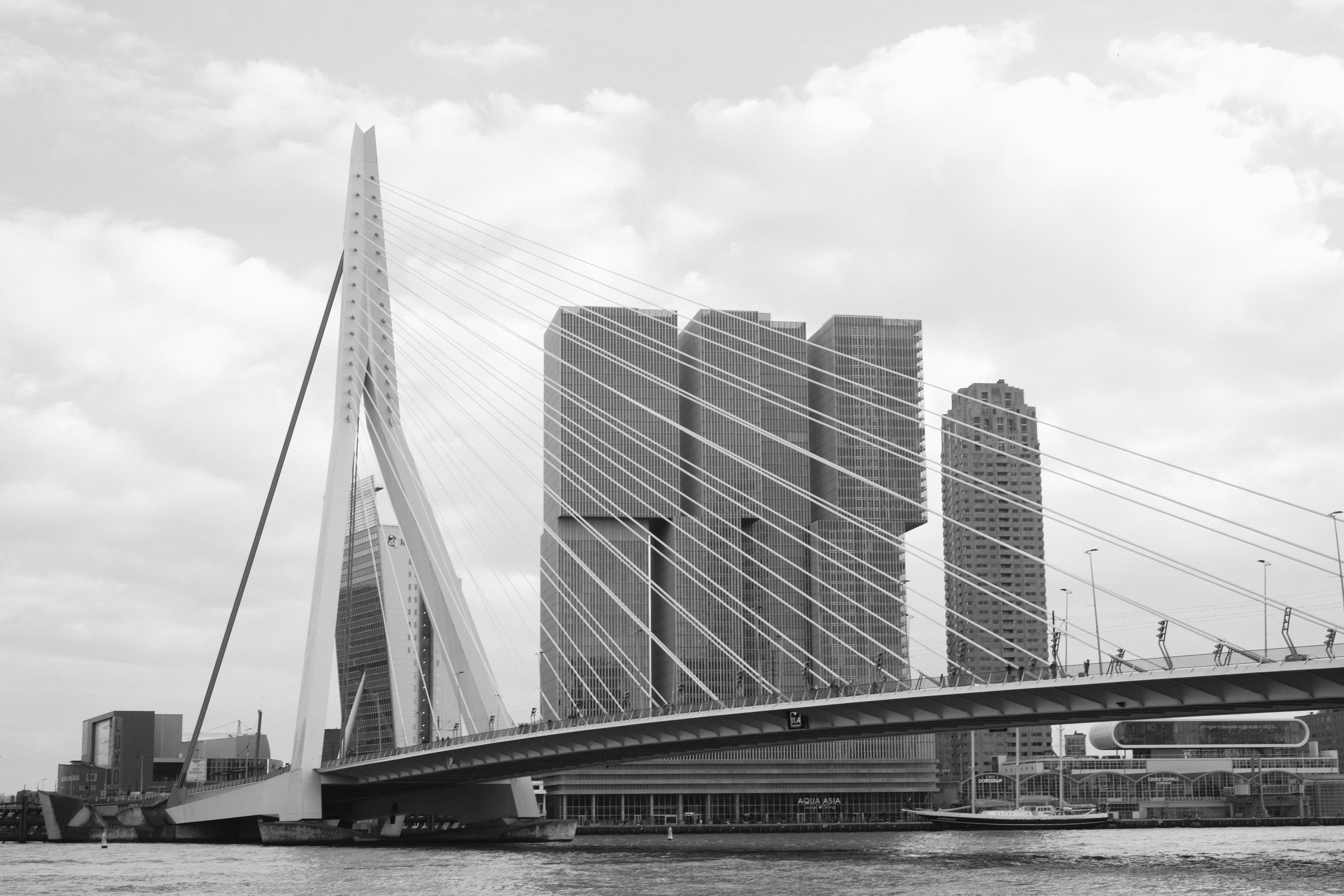 erasmus_bridge.jpg